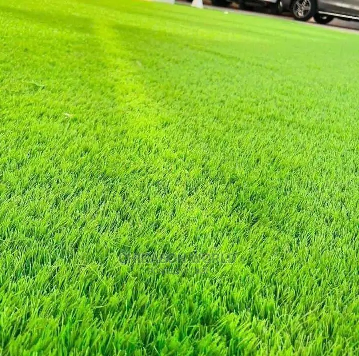 High Quality Synthetic Grass Carpet