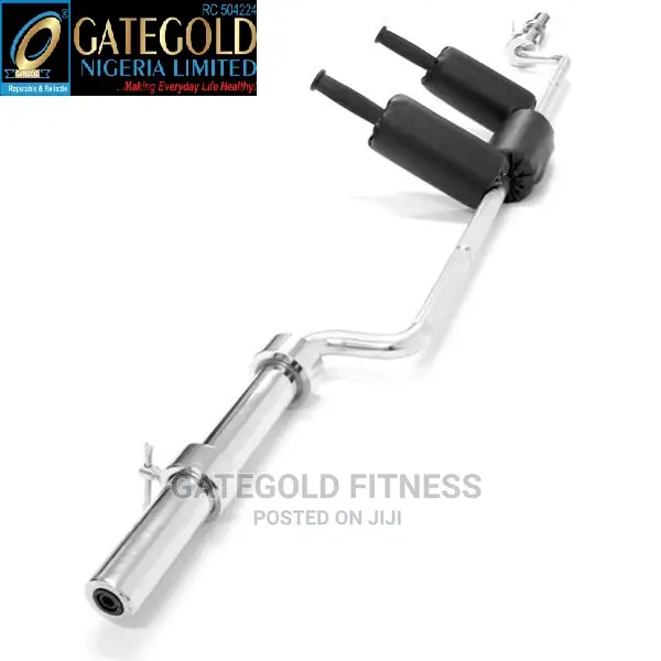 SSB Safety Squat Bar