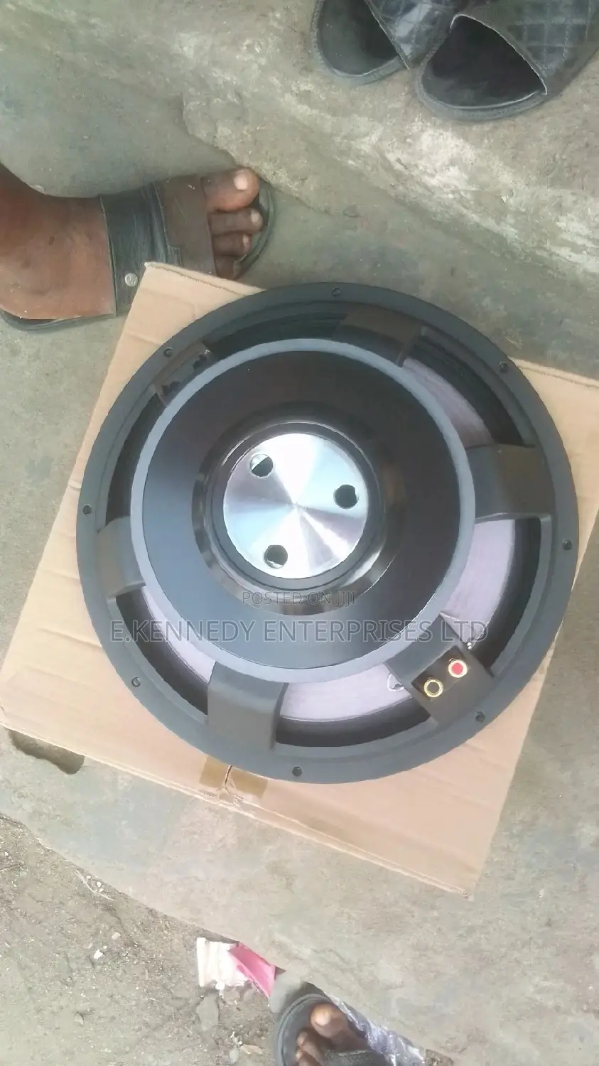 Professional Stock Heavy-Duty 15" Bass Magnet Naked Speaker