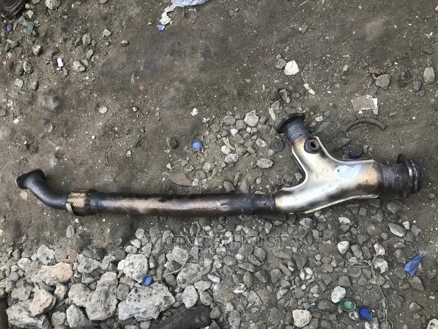 Exhaust Net Toyota Sienna 2005 Model