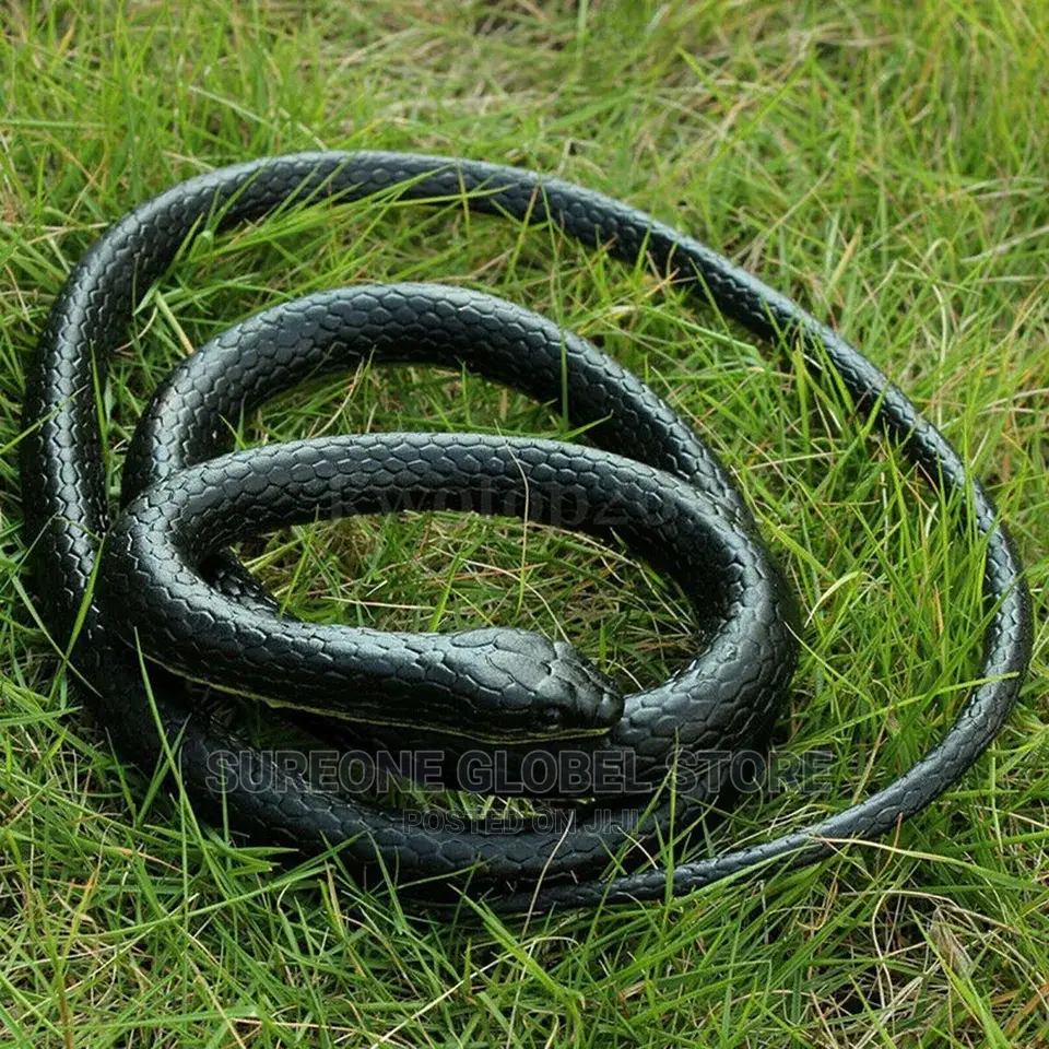 Rubber Snake for Prank and Movies