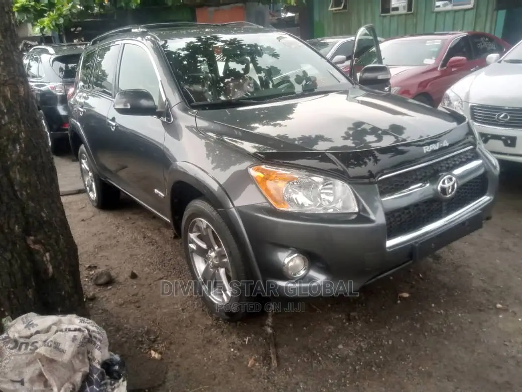 Toyota RAV4 2010 Gray