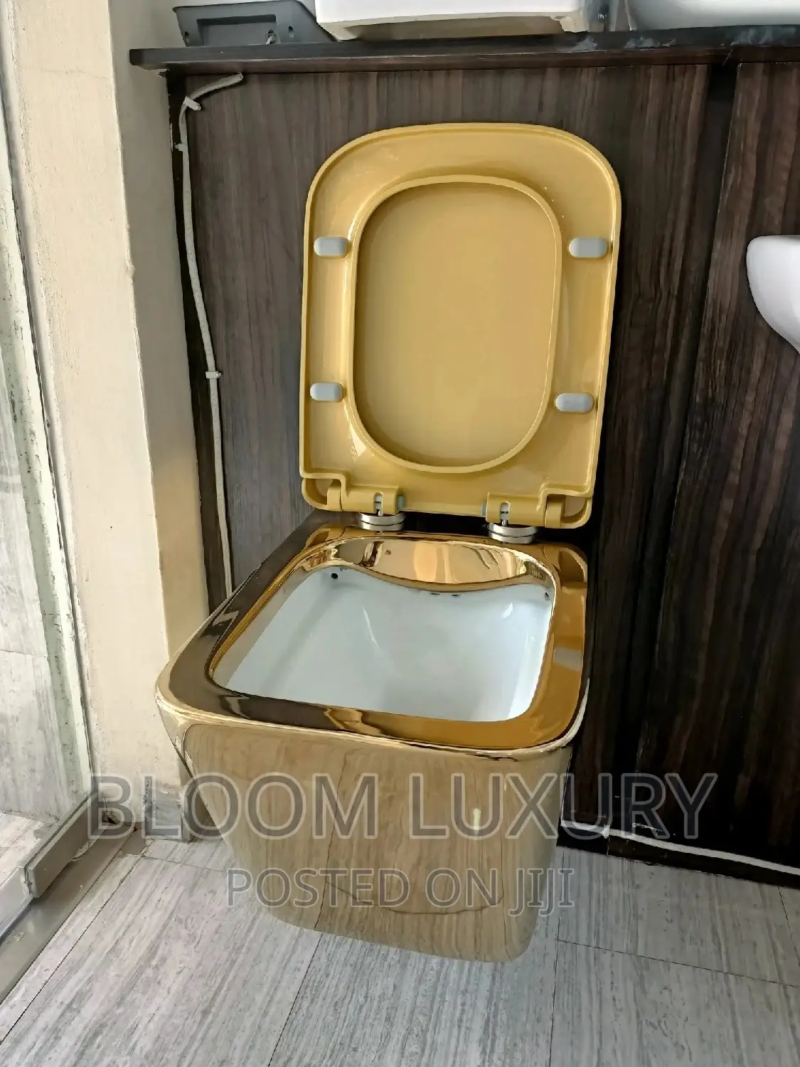 Gold Wall Hung Conceal Toilet