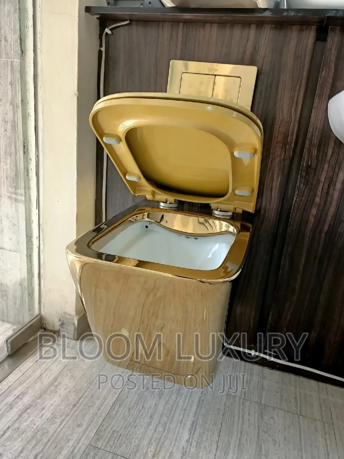 Gold Wall Hung Conceal Toilet