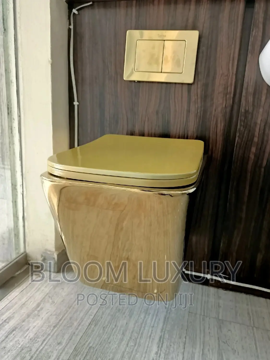 Gold Wall Hung Conceal Toilet