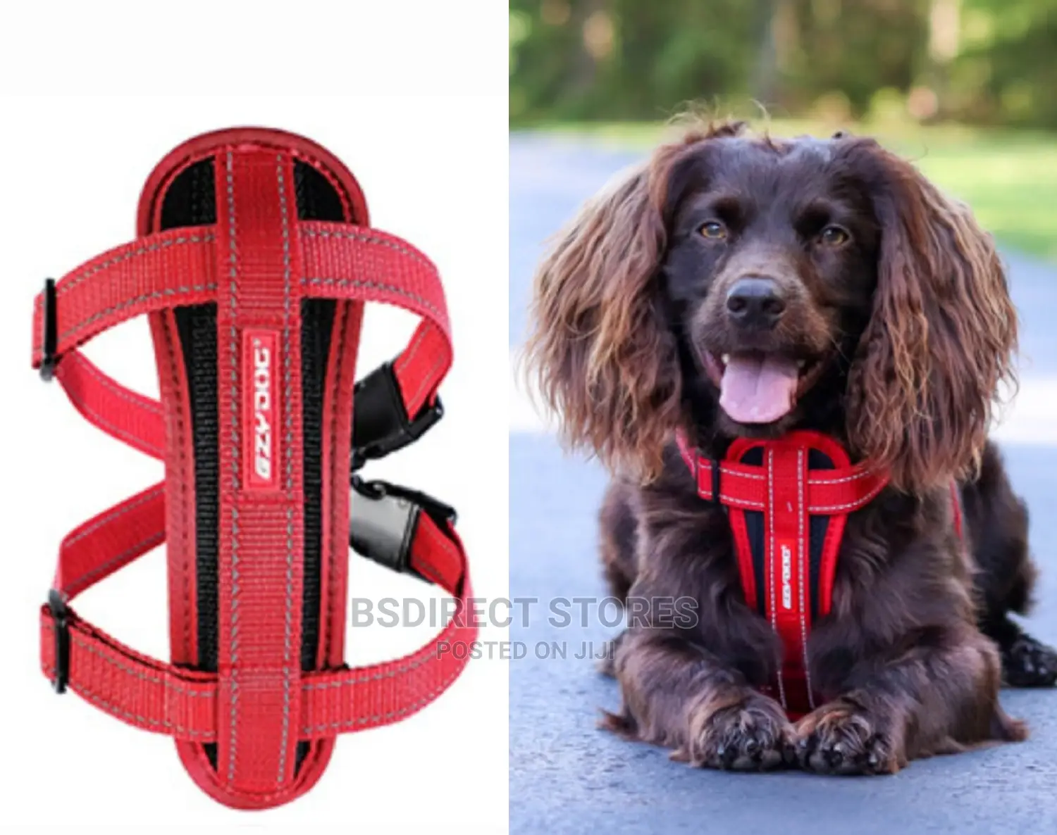 Ezydog RED MEDIUM Chest Plate Harness + Car Seat Restraint