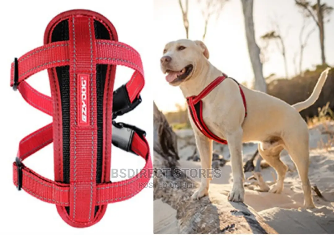 Ezydog RED LARGE Chest Plate Harness + Car Seat Restraint