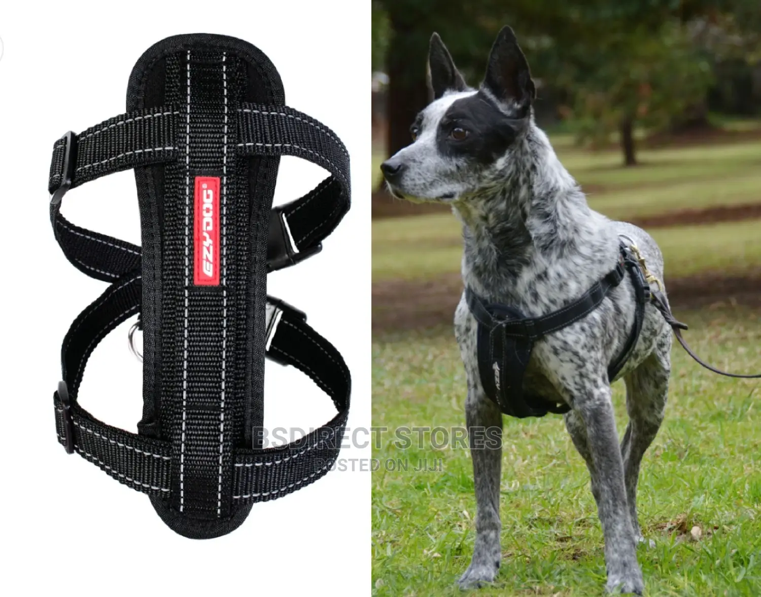 Ezydog BLACK MEDIUM Chest Plate Harness + Car Seat Restraint