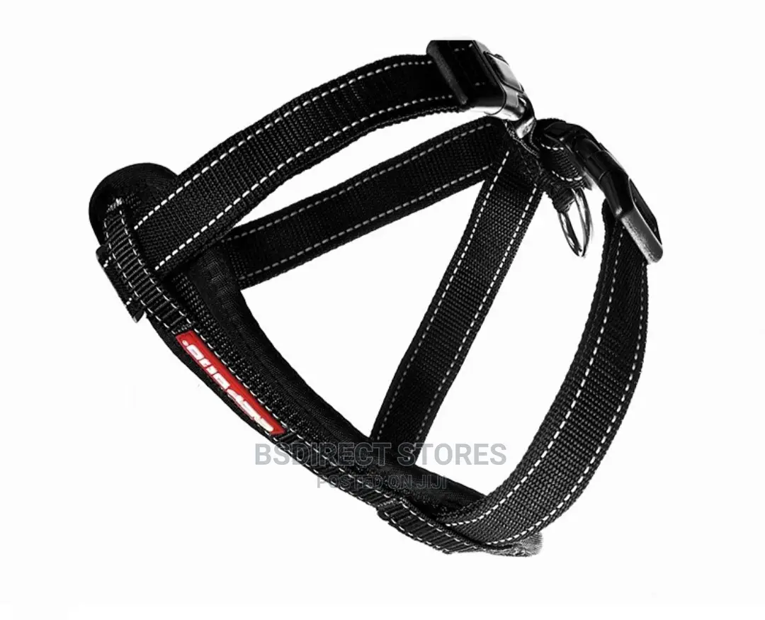 Ezydog BLACK MEDIUM Chest Plate Harness + Car Seat Restraint