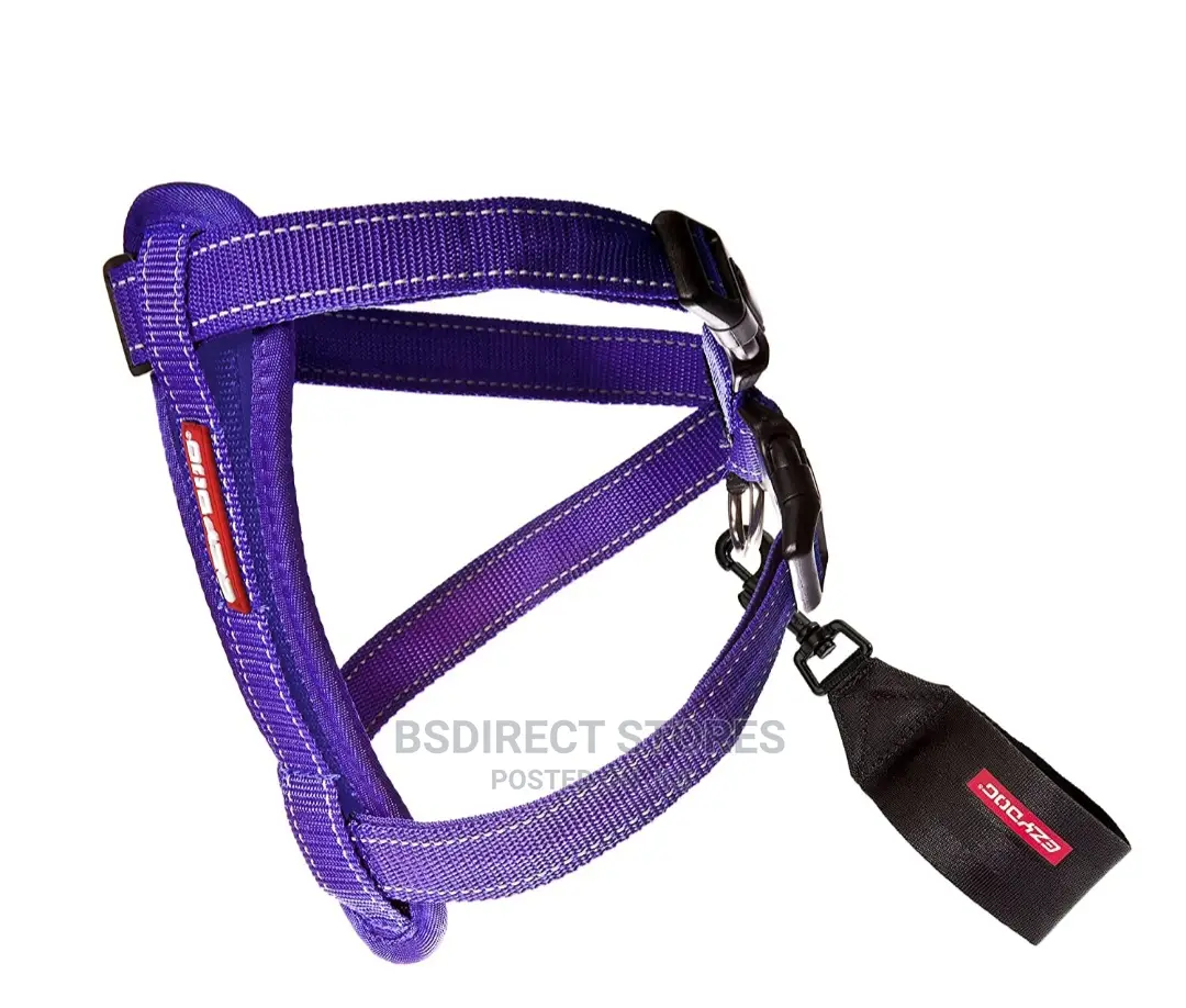 Ezydog PURPLE EXTRA LARGE Chestplate Harness + Car Restraint