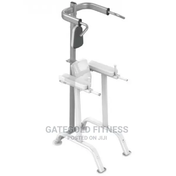 Vertical Knee Raise [Option] – It7010opt