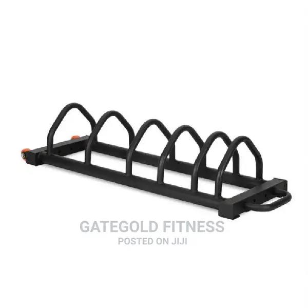 PM230 Bumper Plate Rack