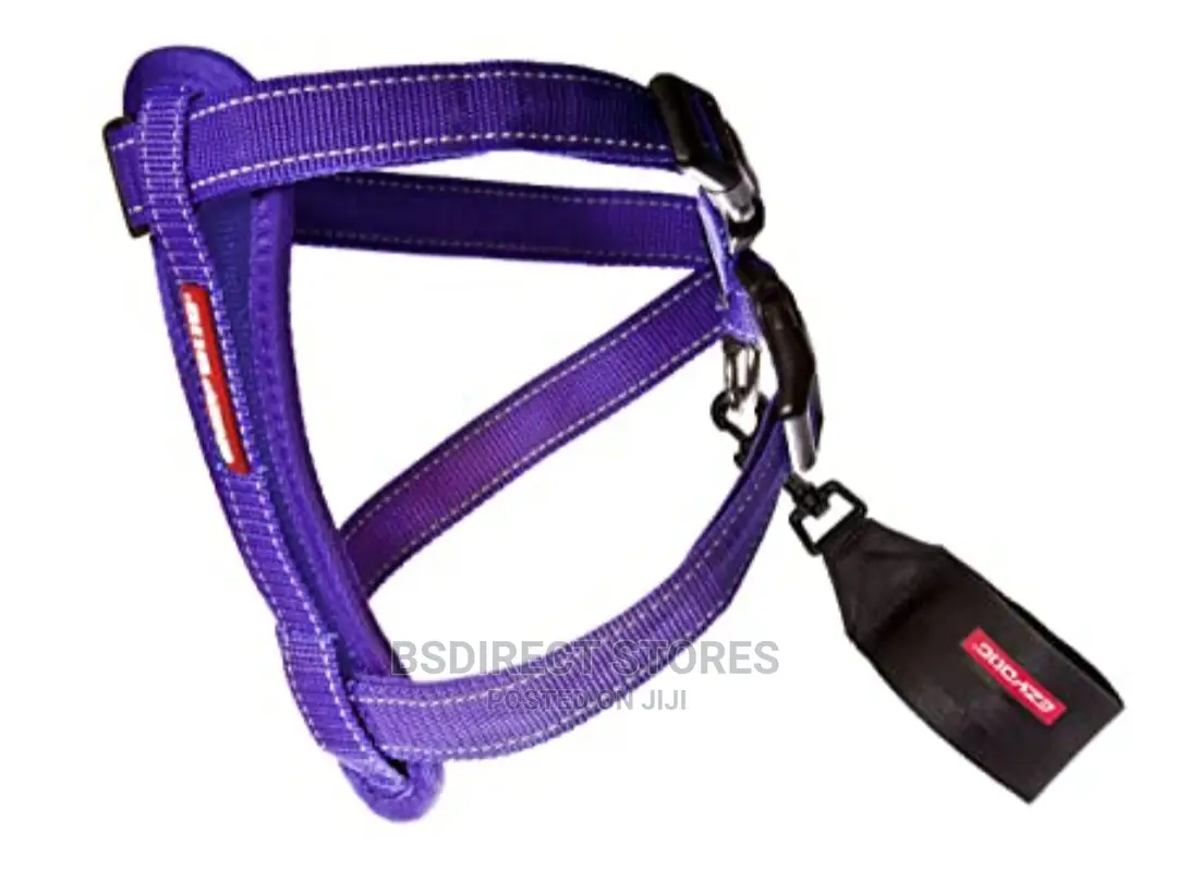 Ezydog PURPLE LARGE Chest Plate Harness + Car Seat Restraint