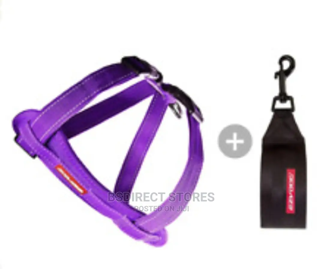 Ezydog PURPLE LARGE Chest Plate Harness + Car Seat Restraint
