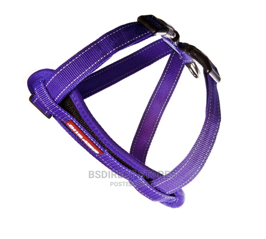 Ezydog PURPLE SMALL Chest Plate Harness + Car Seat Restraint