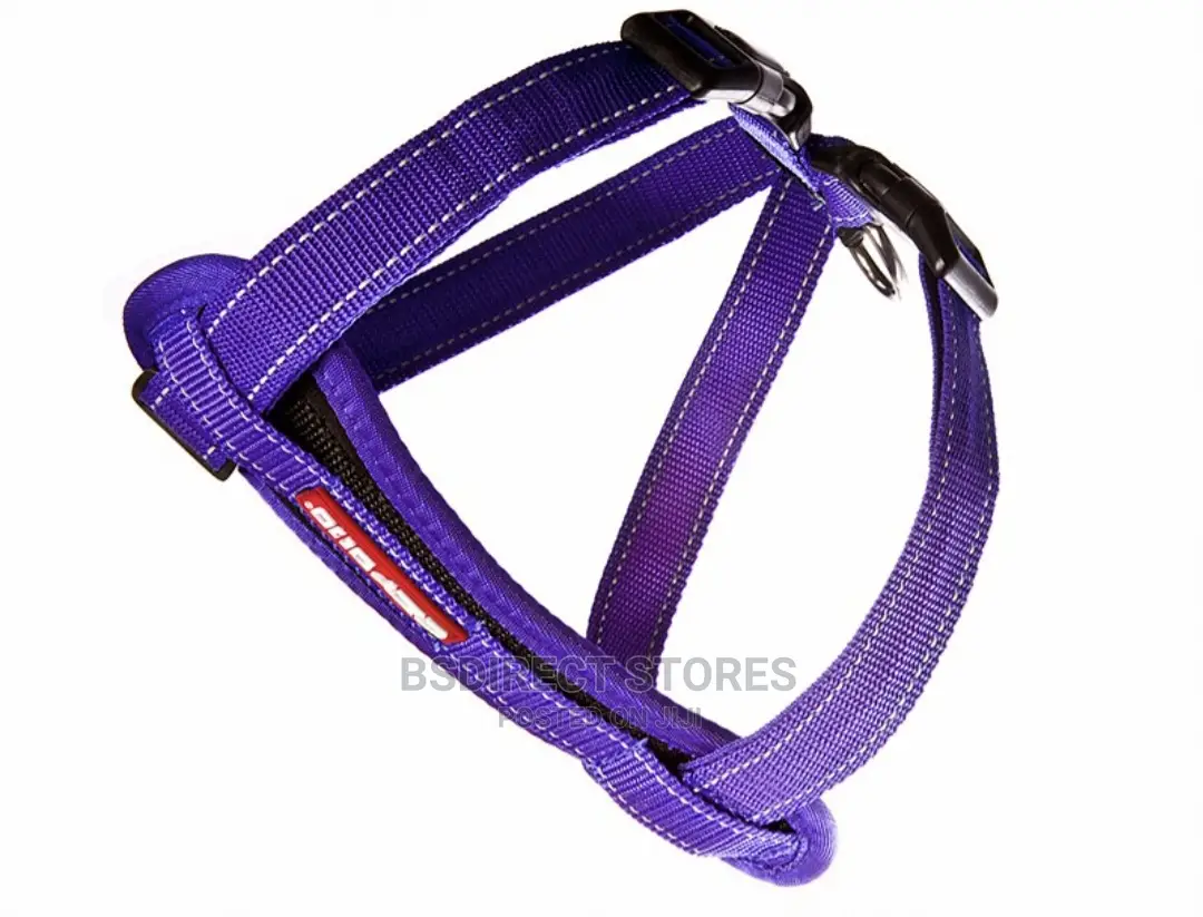 Ezydog MEDIUM PURPLE Chestplate Harness + Car Seat Restraint