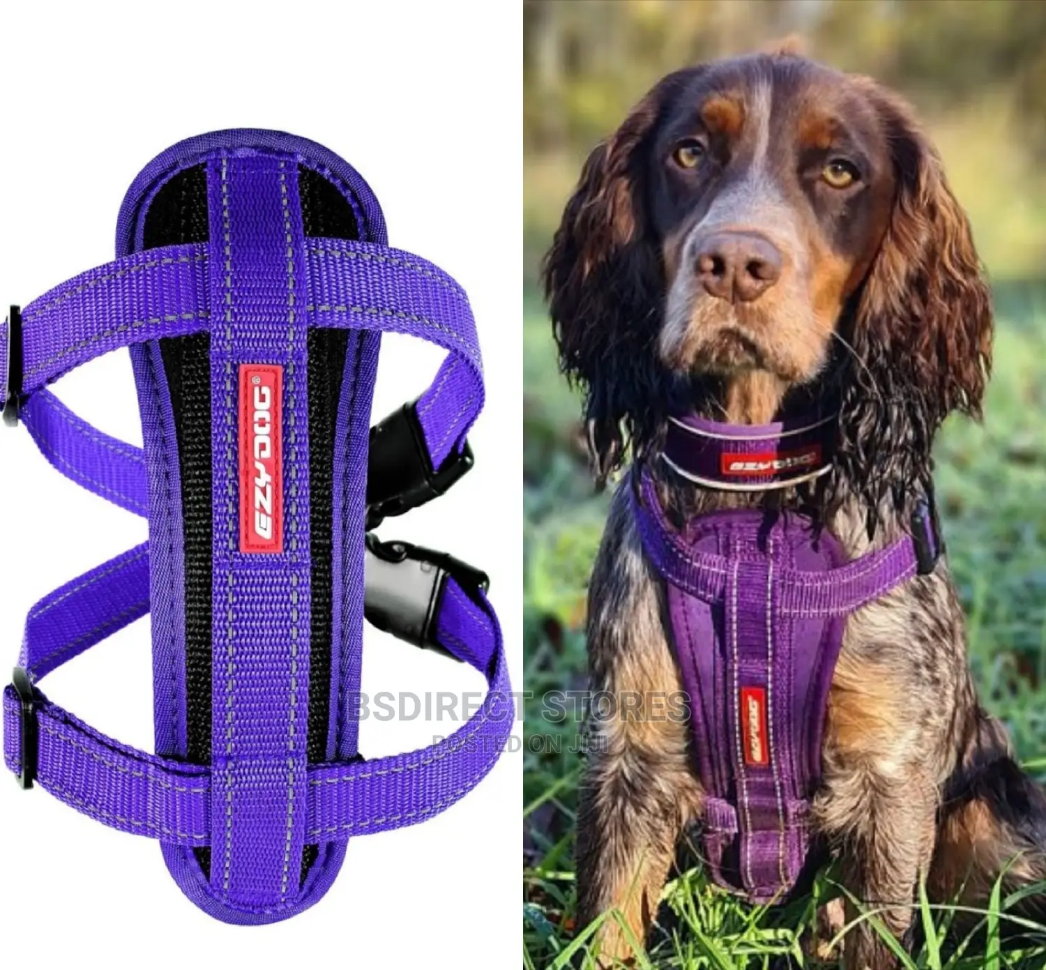 Ezydog MEDIUM PURPLE Chestplate Harness + Car Seat Restraint