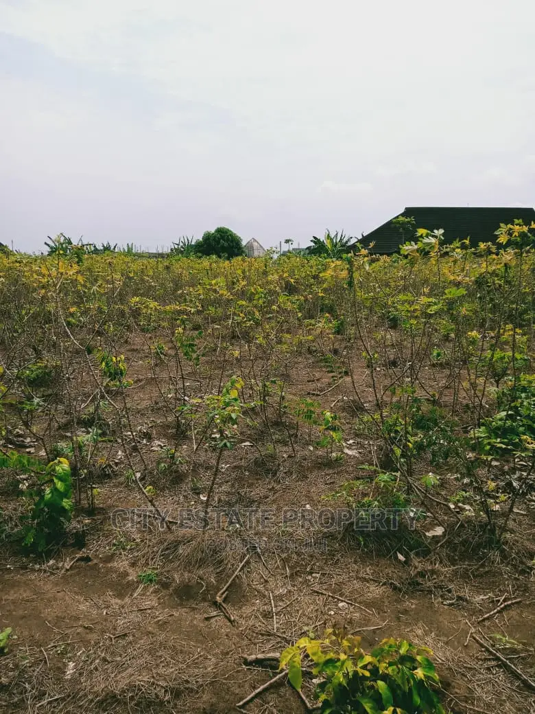 Land for Sale at Ogbogoro Close to Malaysia Estate Ph