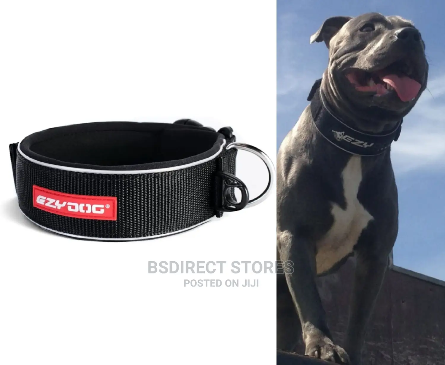 Ezydog BLACK XL Neo Classic Collar Strong Reflective XLARGE