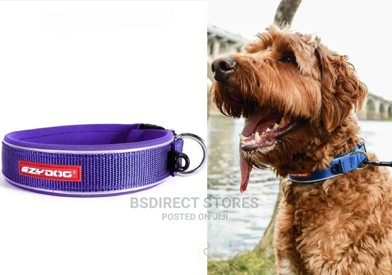 Ezydog PURPLE SMALL Neo Dog Classic Collar Strong Reflective