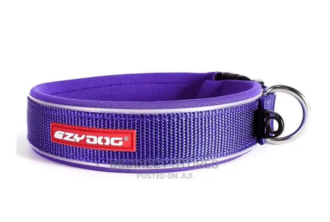 Ezydog PURPLE SMALL Neo Dog Classic Collar Strong Reflective