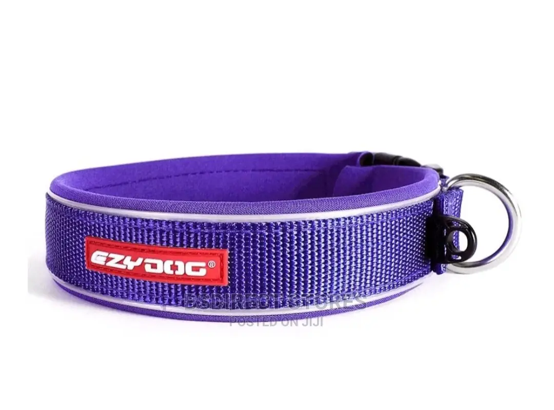 Ezydog PURPLE MEDIUM Neodog Classic Collar Strong Reflective