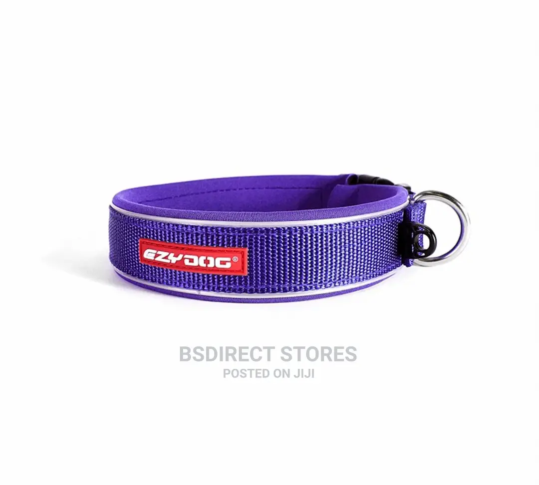 Ezydog XL PURPLE Neo Classic Collar Strong Reflective