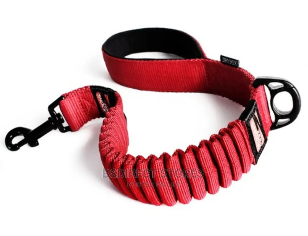 Ezydog ZERO SHOCK 25" RED Leash Shock Absorbing Dog Leash