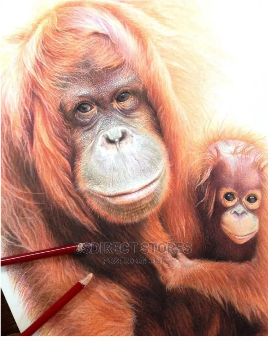 Derwent Pastel Collection 24. Drawing Writing Artists Set