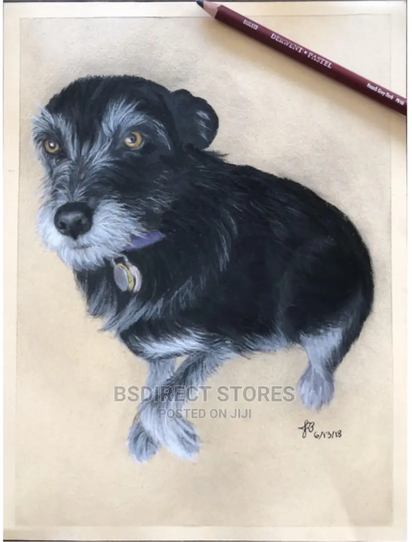 Derwent Pastel Collection 24. Drawing Writing Artists Set