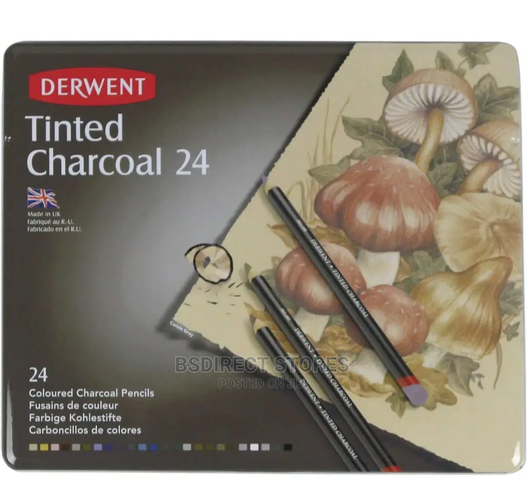 Derwent Tinted Charcoal Drawing Writing Artists Pencils 24