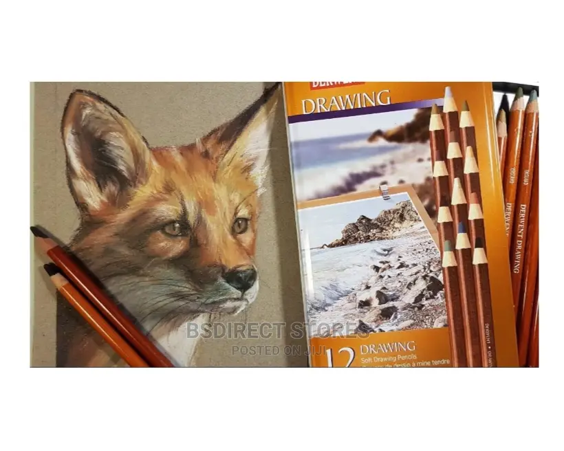 Derwent Soft Drawing Artists Pencils Rich and Earthy 12 Tin