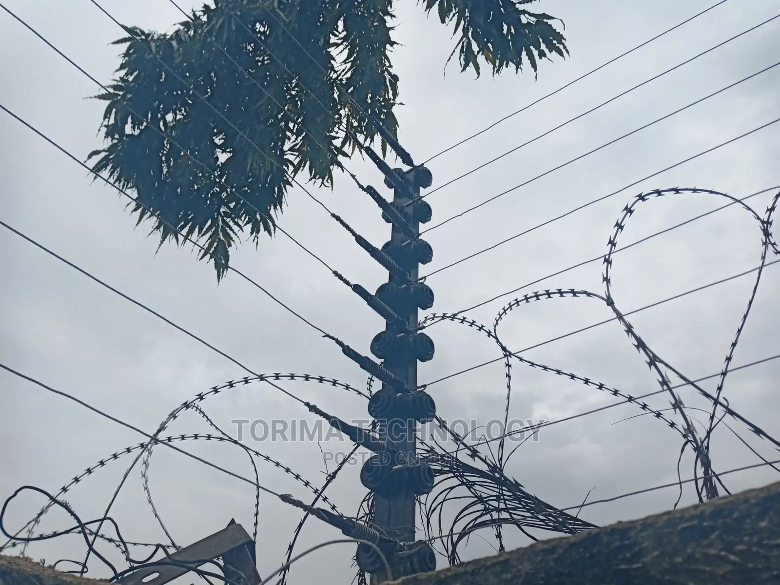 "Secure Your Property With an Advanced Electric Fence System