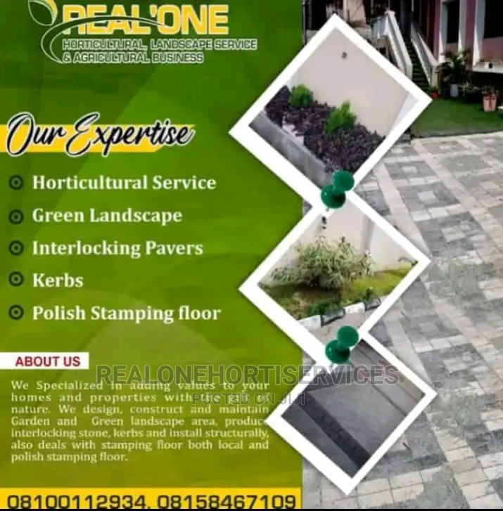 Ornamental Flowers Beneficial for Healthy Living
