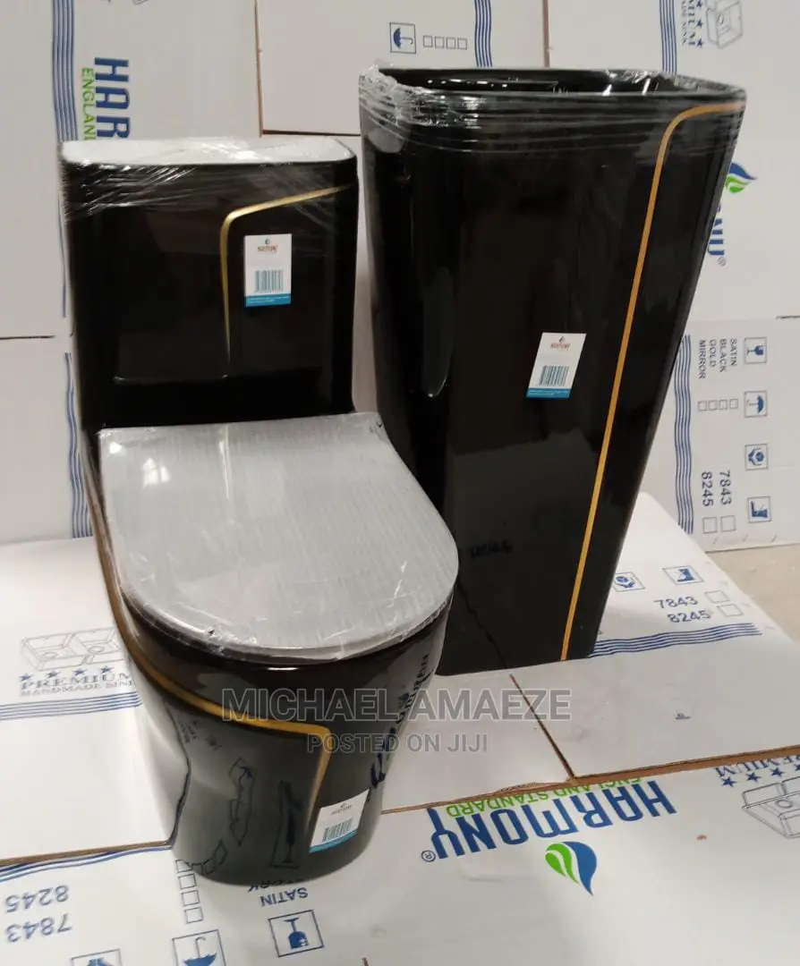 Black Master Water Closet With Standing Basin