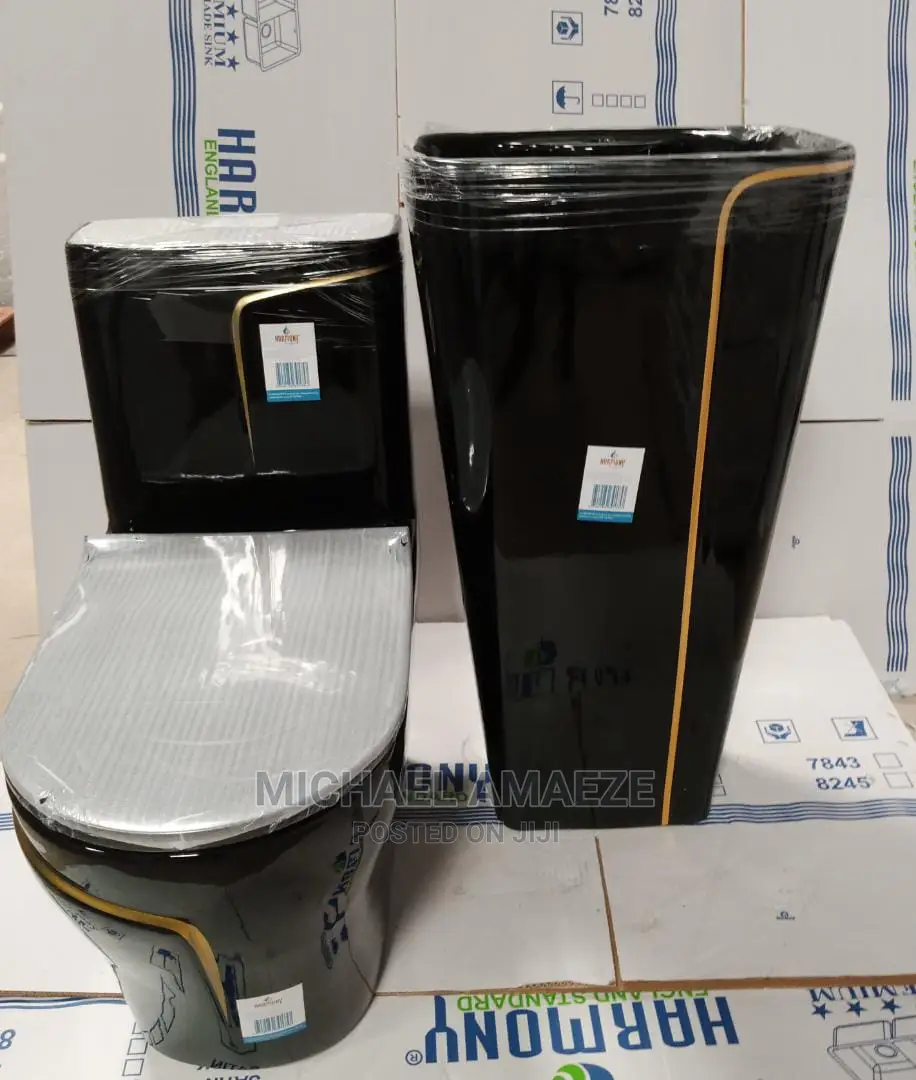Black Master Water Closet With Standing Basin
