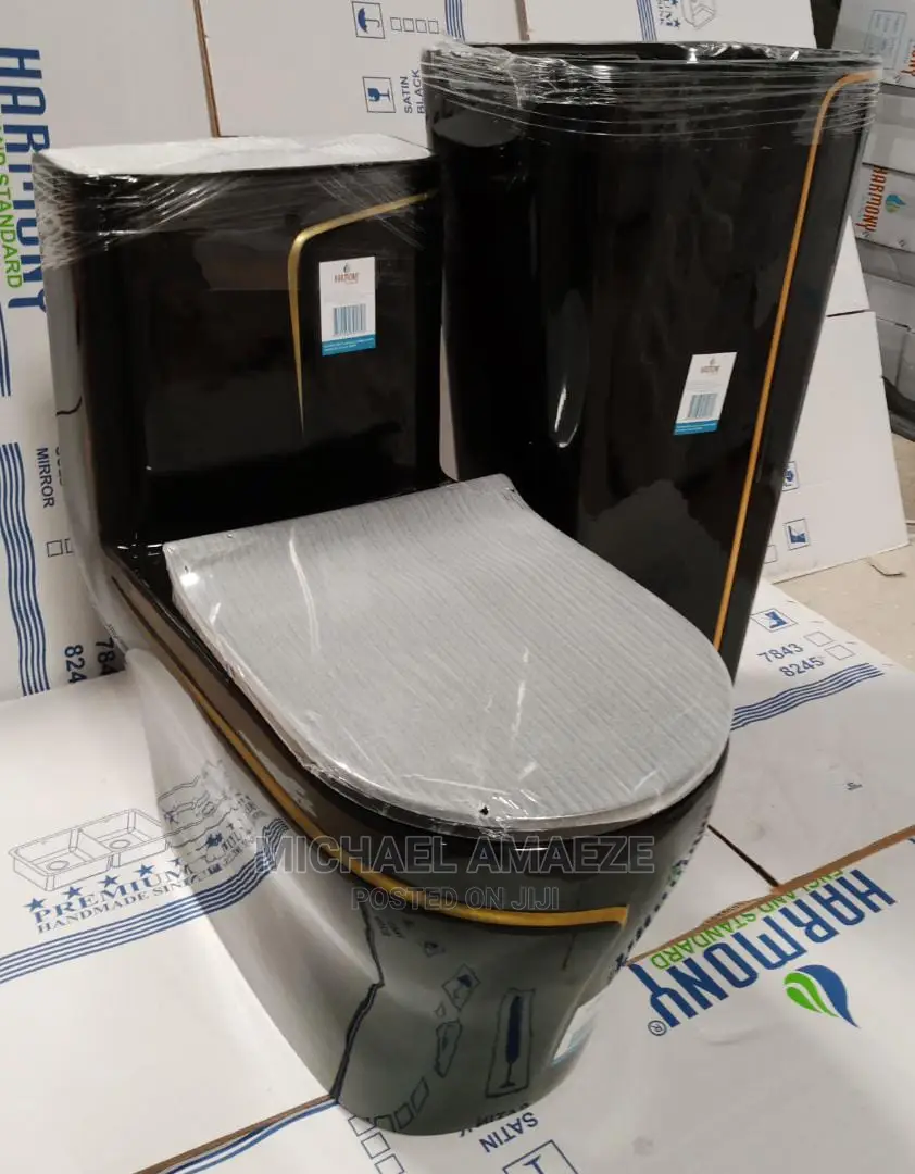 Black Master Water Closet With Standing Basin