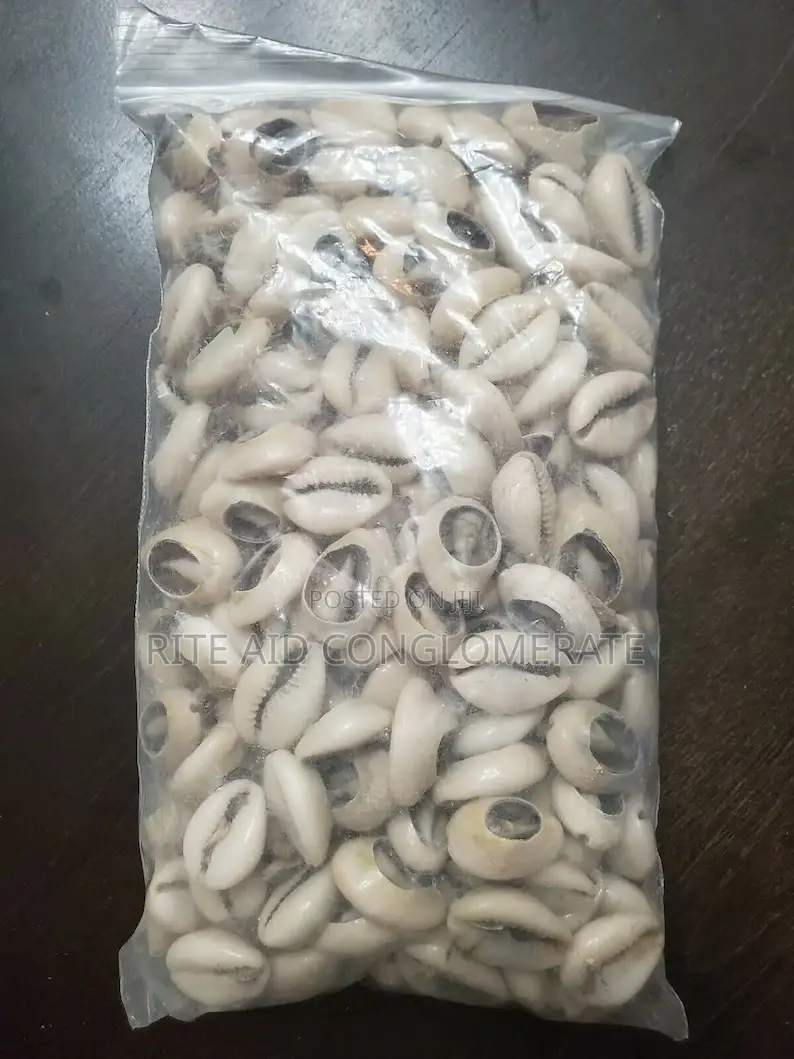 Original Cowries for Divination