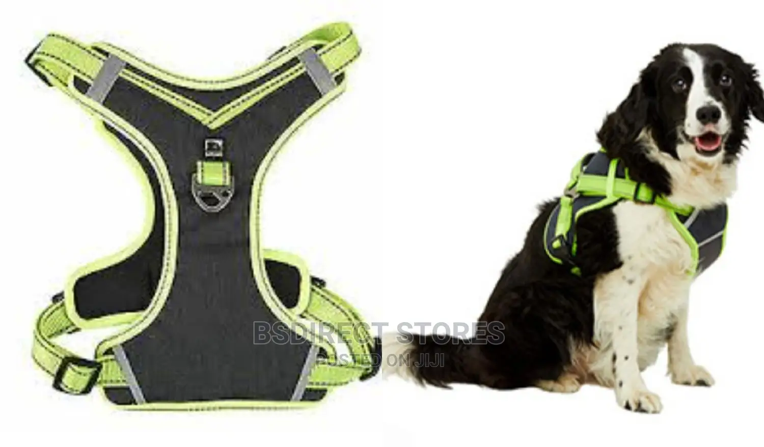 Pets at Home 3 Peaks SMALL GREEN Control Ascent Dog Harness