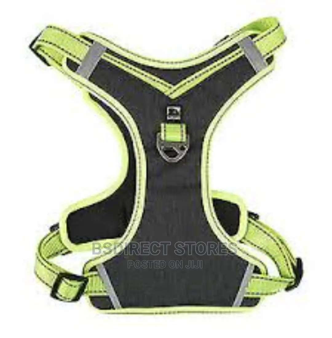 Pets at Home 3 Peaks SMALL GREEN Control Ascent Dog Harness