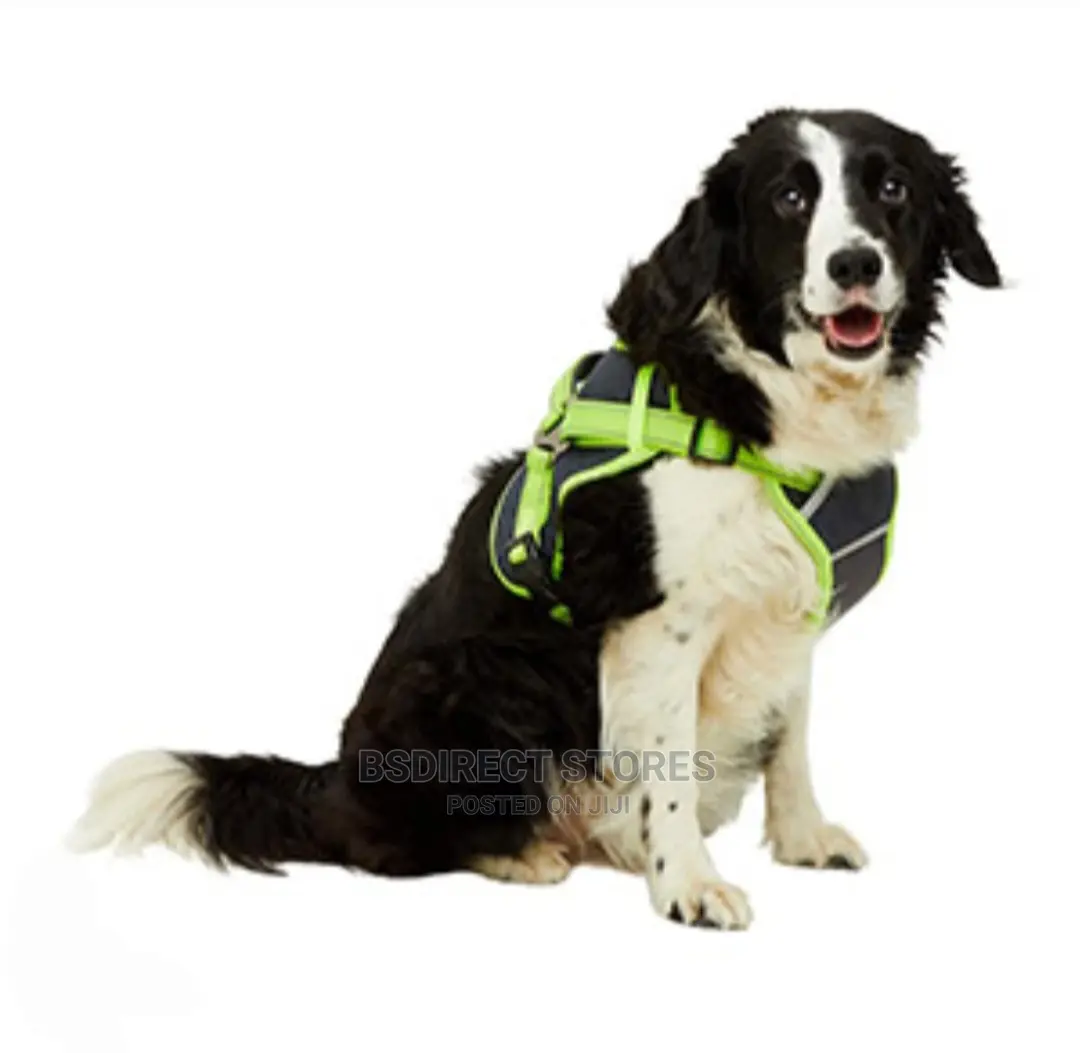 Pets at Home 3 Peaks SMALL GREEN Control Ascent Dog Harness