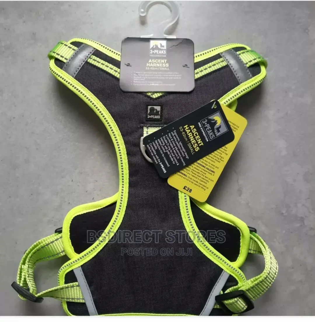 Pets at Home 3 Peaks SMALL GREEN Control Ascent Dog Harness