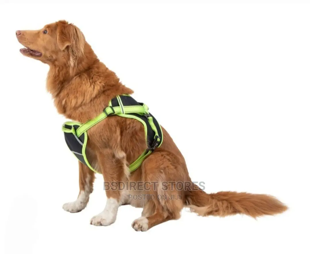 Pets At Home 3 Peaks Control Ascent GREEN MEDIUM Dog Harness