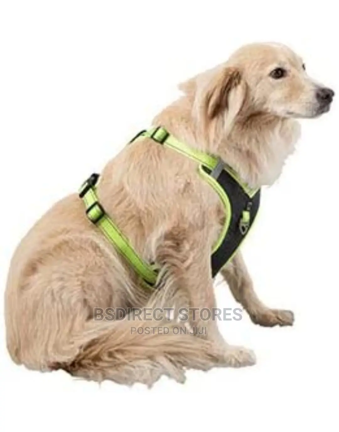 Pets at Home GREEN LARGE 3 Peaks Control Ascent Dog Harness