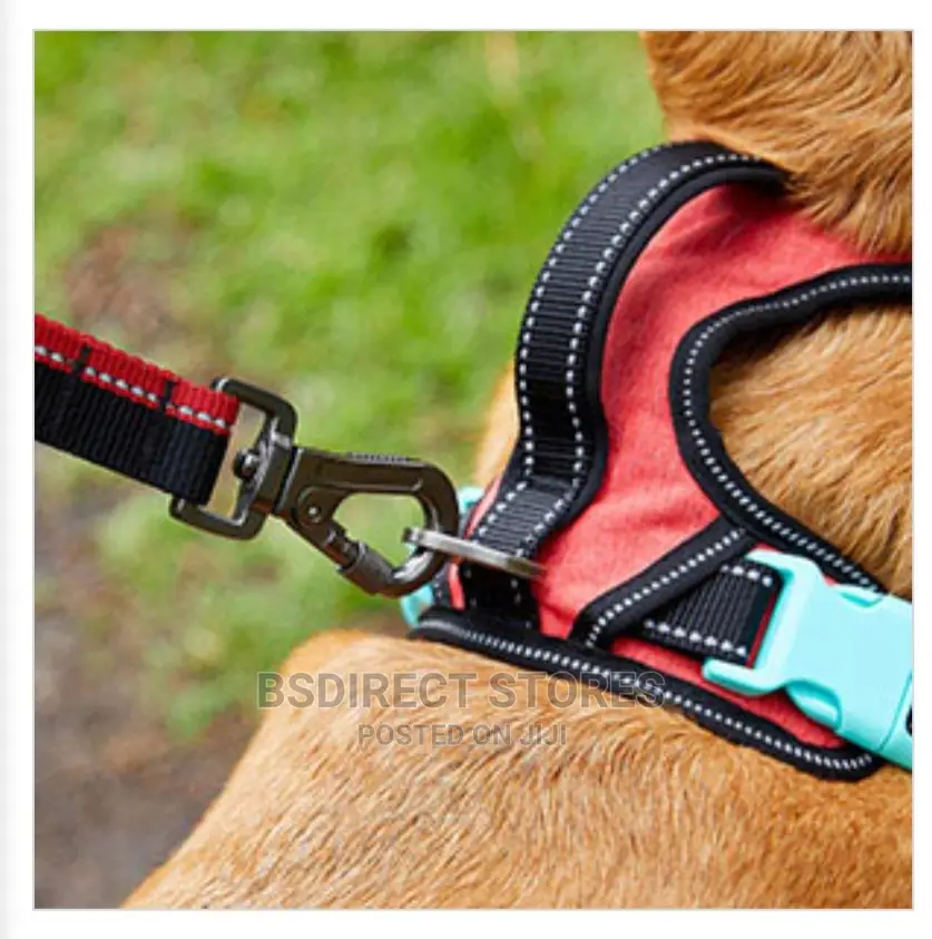 Pets at Home 3 Peaks Control Ascent RED LARGE Dog Harness