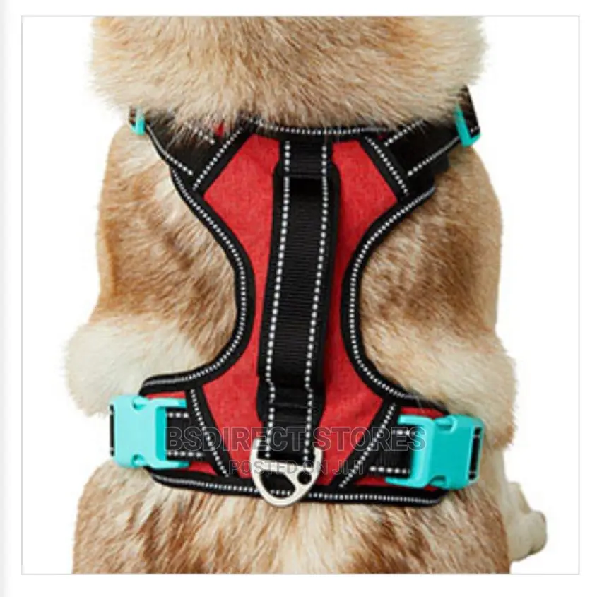 Pets at Home 3 Peaks Control Ascent RED LARGE Dog Harness
