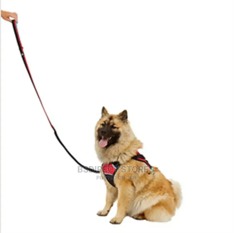 Pets at Home 3 Peaks Bungee Dog Lead Navy Orange Large