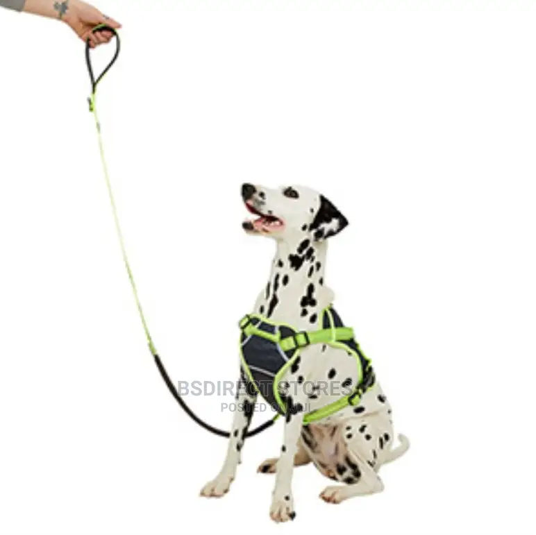 Pets at Home 3 Peaks Grey and Neon Bungee Dog Lead Large