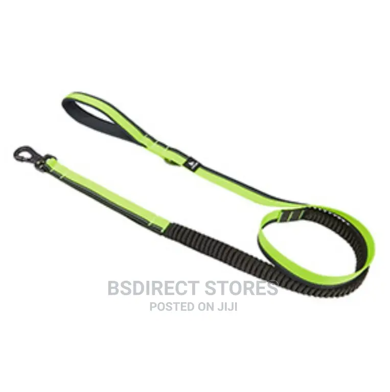Pets at Home 3 Peaks Grey and Neon Bungee Dog Lead Large