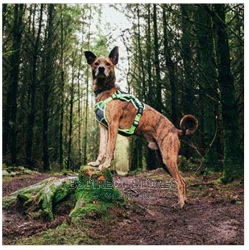 3 Peaks X- Trail Dog Reflective Trim Harness Grey MEDIUM